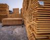 Plywood, paper and fridges: Trump lifts some Canada tariffs two weeks before US midterms