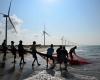 Green energy vs local anger: Why this Sri Lankan community is saying no to wind turbines