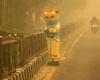‘What we’re breathing is poison’: Indonesia rolls out oxygen buses as wildfire haze reaches toxic levels