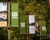 Dutch zookeeper dies days after leopard mauling