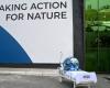 Deal still eludes nations on final day of UN nature summit