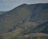 Armenia and Azerbaijan talk peace, but in a border forest, the wounds of war are still raw